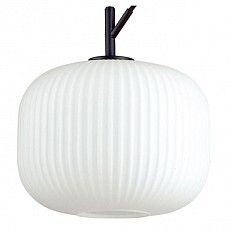 Подвесной светильник odeon light roofi 4753-1